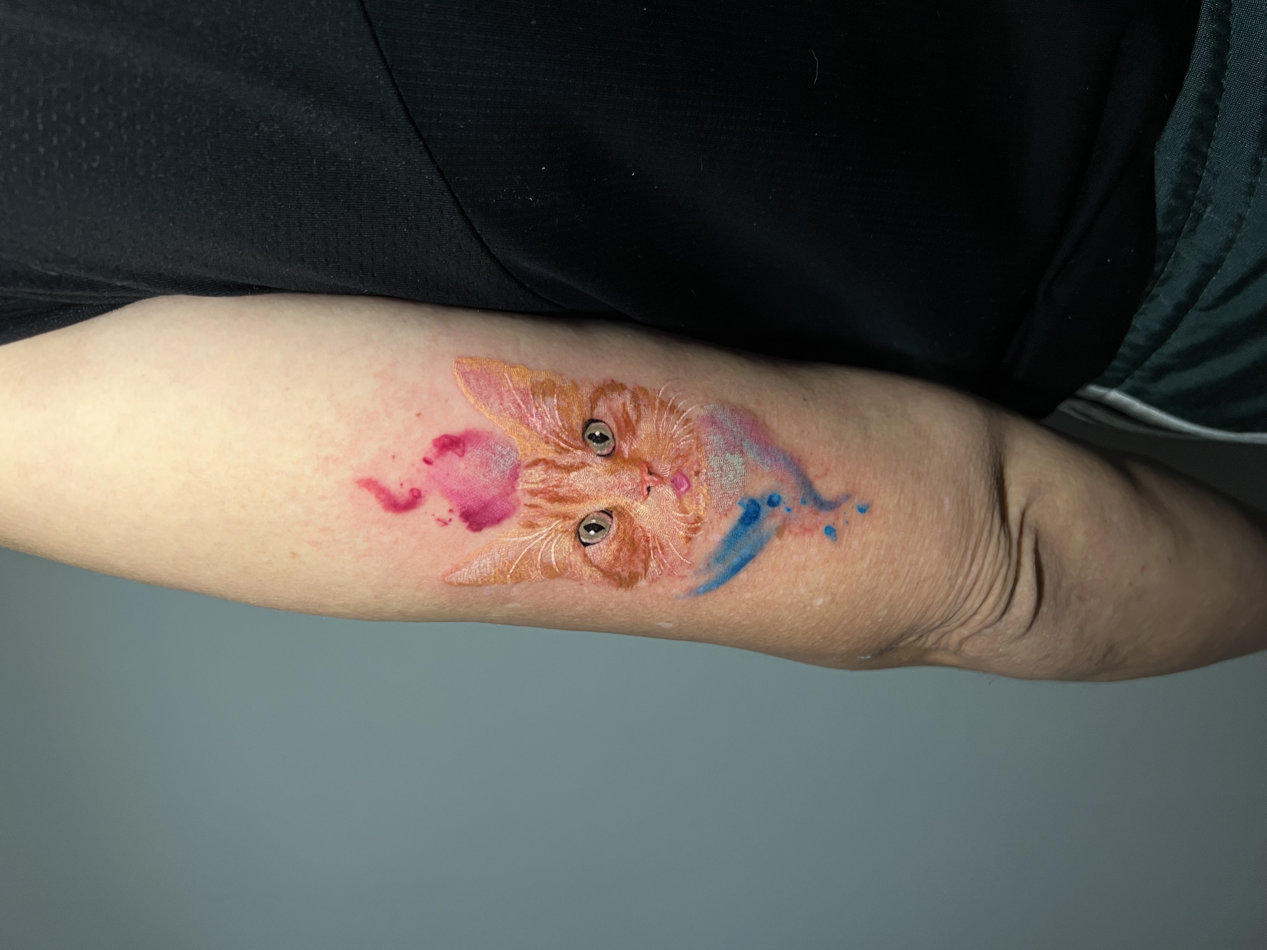 Tatuagem colorida Gato Realista