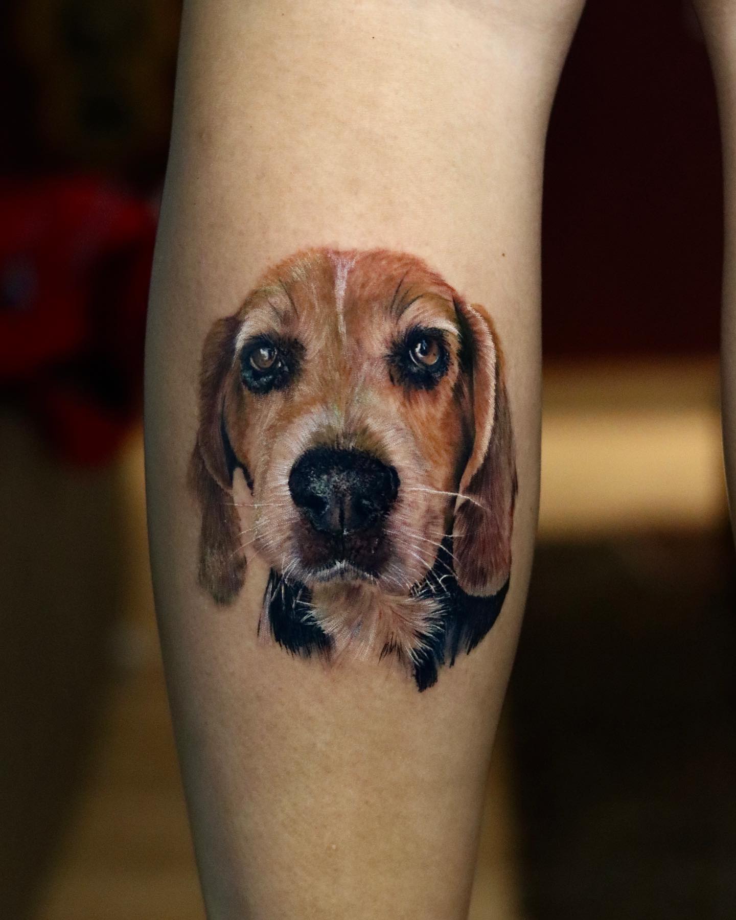 Tatuagem realista colorida cachorro cao dog pet